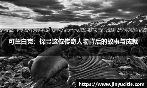 德信体育app